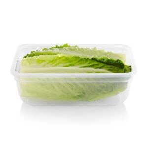 Alternative view of Snapware® Total Solution® 8.5-cup Plastic Food Storage Container with Lid
